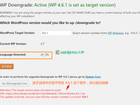 使用 WP Downgrade 在线降级 WordPress 到旧版本