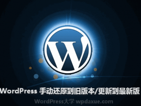 WordPress技巧:手动还原到旧版本/更新到最新版