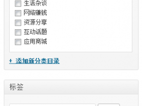 WordPress获取某个分类关联的标签的方法