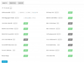 WordPress网站优化插件youpzt-optimizer，给网站提速70%