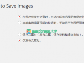 WordPress 自动下载保存远程图片到自己的主机 QQWorld Auto Save Images
