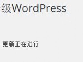 解决升级 WordPress 时提示