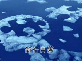 浅谈网站排名和文章的逻辑关系