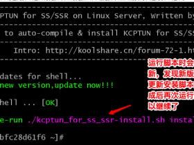 KCPTUN for SS/SSR 一键脚本