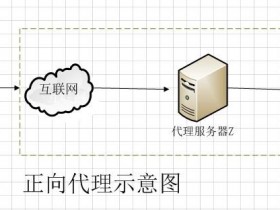 图解正向代理、反向代理、透明代理