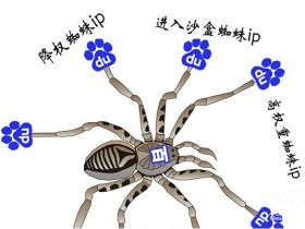 百度搜索引擎爬行蜘蛛IP大全