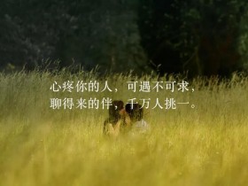 爱情保鲜的秘诀是什么?