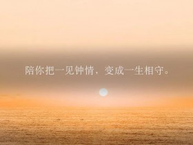 陪你把一见钟情,变成一生钟守