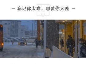 忘记你太难,想爱你太晚