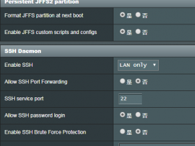 ASUS Merlin 固件 Koolshare 改版离线安装Shadowsocks