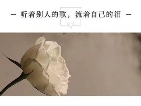 听着别人的歌,流着自己的泪... ...