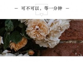 可不可以,等一分钟...