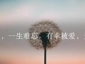 有幸被爱,无畏山海