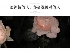 愿深情的人,都会遇见对的人...