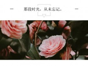 那段时光,从未忘记