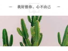 我好想你,心不由己