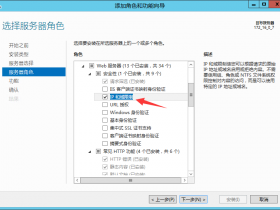 IIS中设置禁止某个IP或IP段访问网站(或只允许某个IP访问网站)